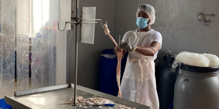 RRËFIMET/ Bizneset marrin punëtorë nga Bangladeshi, mungon krahu i punës në Shqipëri