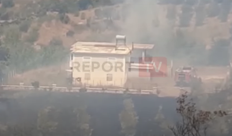 ZJARR NË NJË KODËR ME ULLINJ NË SARANDË/ Flakët “rrethojnë” banesën! Banori: Janë djegur… (VIDEO)