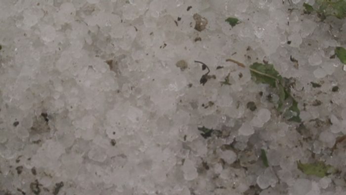 STUHIA MBËRRIN NË GREQI/ Breshër dhe erëra të forta, shkatërrohen plantacione të tëra me prodhime bujqësore