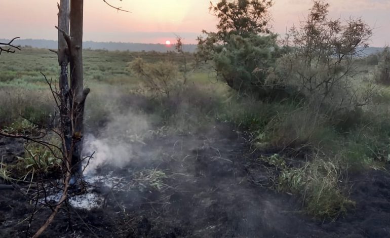 PAMJET/ Zjarr në fshatin Kular, zjarrëfiksja në vendngjarje. Digjen 1 hektarë….