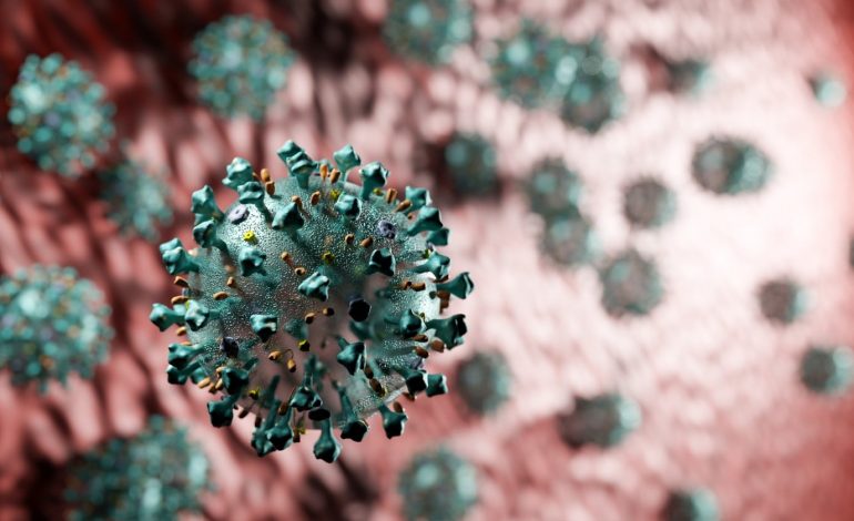 COVID-19/ OBSH: Numri i të infektuarve dhe viktimave me koronavirus po rritet sërish