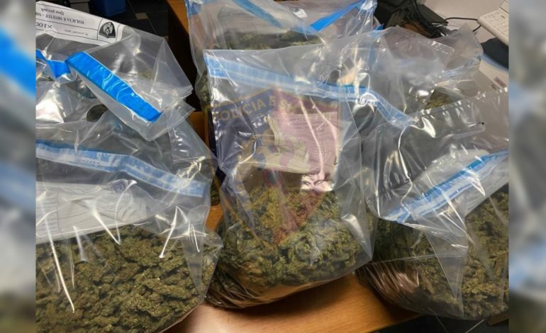 “RRËNJA E ZEZË”/ Udhëtonin me 20 kg kanabis në makinë, pranga dy të rinjve në Mirditë