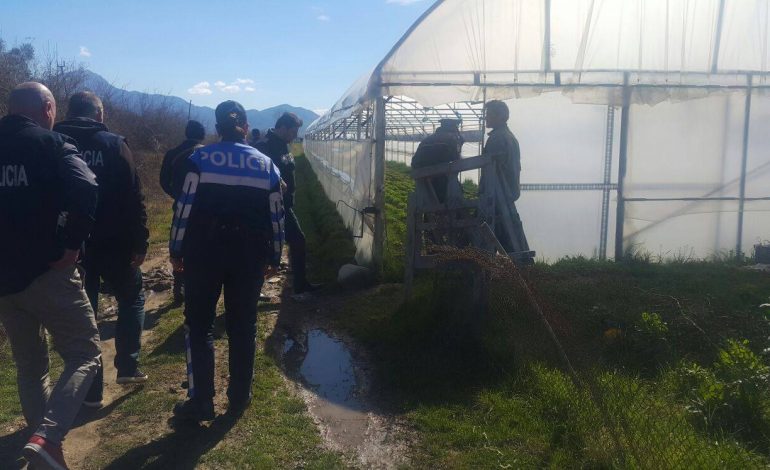 DROGË DHE DREJTIM MJETI TË DEHUR/ Policia aksion në Vlorë, 6 të arrestuar, në kërkim…