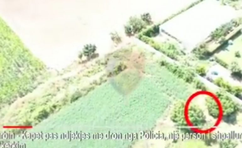 NDJEKJE ME DRON NGA POLICIA/ Momenti kur arrestohet në mes të rrugës 42-vjeçari me dy EMRA në Kurbin (VIDEO)