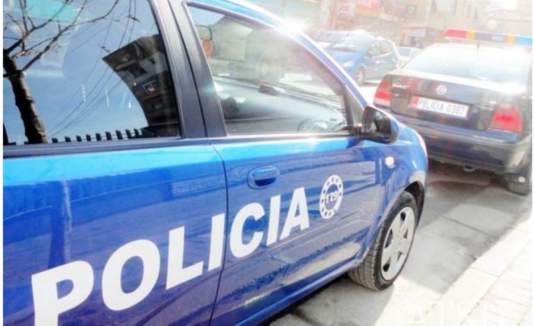 PLAS SHERRI PËR PRONËN NË KLOS/ Policia parandalon krimin, arrestohen vëlla e motër
