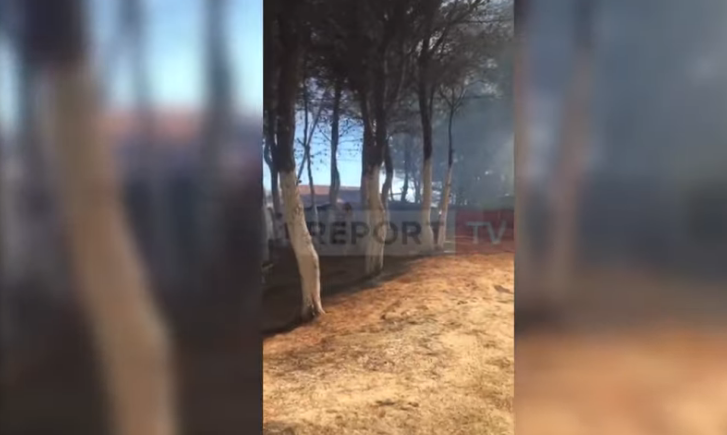 E RËNDË NË VLORË/ Zjarr në Pyllin e Sodës, banorët dhe pushuesit në ndihmë të zjarrfikëses (VIDEO)