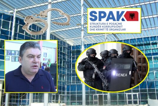 “NA KA DALË GARANT TUSHE”/ Zbardhen përgjimet mes punonjësve të Bashkisë Lushnje: Na ka thirrur SPAK! Drejtori na ka bërë 20 herë mbledhje se…