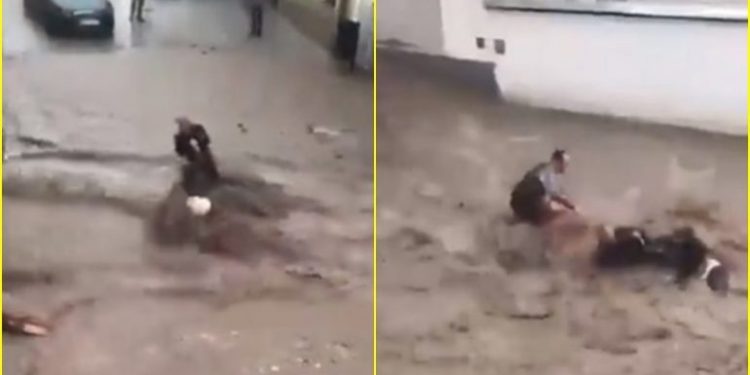 AKT HEROIK/ Shikoni si një burrë shpëton çiftin turk nga përmbytjet në Austri