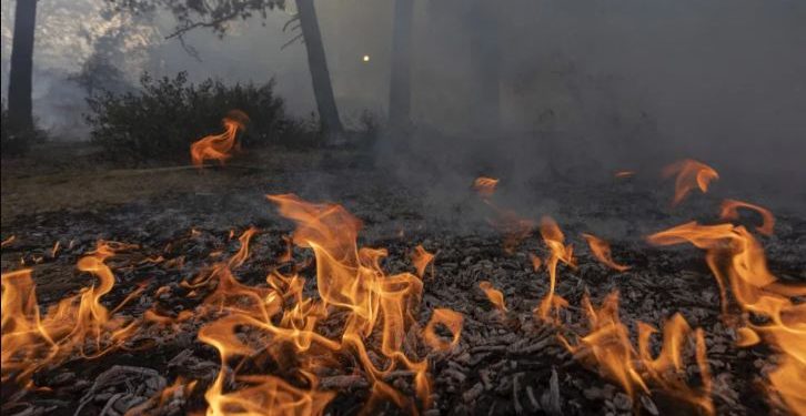 ZJARRET NË SHQIPËRI/ Paralajmëron IGJEUM: Kujdes, sot pasdite dhe nesër rrezik për zjarre në 10 qarqe