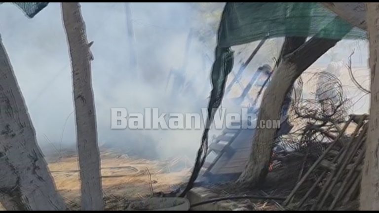 TYM E FLAKË NË ZVËRNEC/ Përfshihet nga zjarri lokali, pushuesit largohen nga paniku (VIDEO)