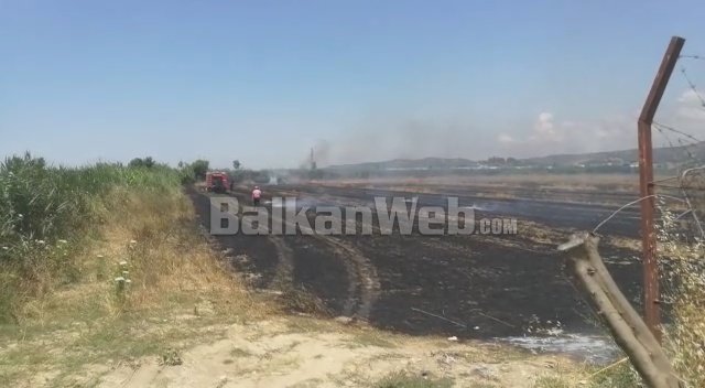 U KORRËN 10 DITË MË PARË/ Përfshihen nga flakët tokat me grurë të Institutit të Teknologjisë Bujqësore në Lushnje