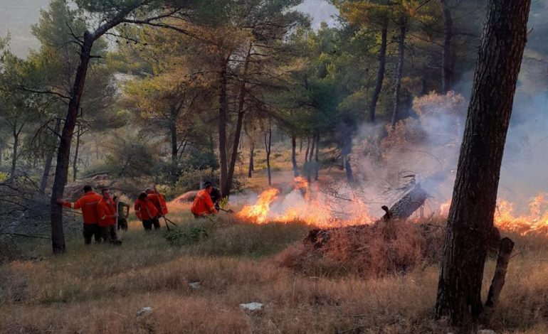 VAZHDON ZJARRI NË PYLLIN E GJORGOSIT NË FIER/ Forcat zjarrfikëse dhe të ushtrisë në luftë me flakët (FOTO)