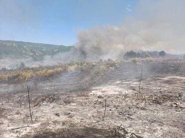 E RËNDË NË KURBIN/ Zjarri shkrumbon qindra rrënjë ullinj e dru frutorë, kërkohet ndërhyrje nga ajri