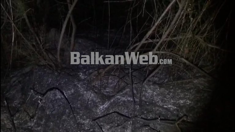 ZJARRET NË BERAT/ Flakë të madha në fshatin Lapardha 2, rrezikohen banesat (VIDEO)