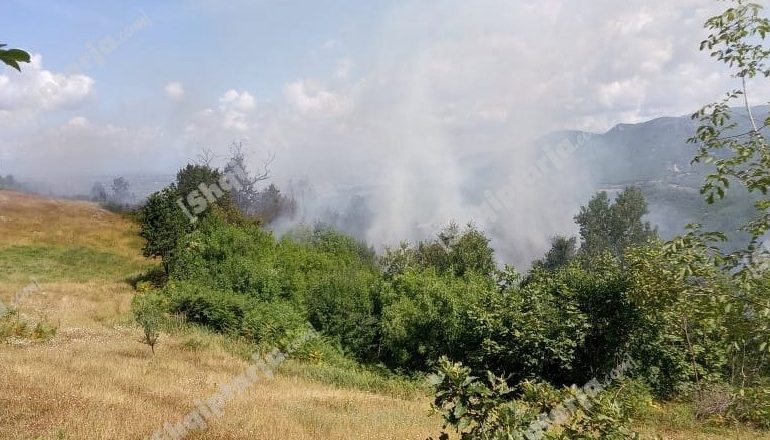 DOGJI 3 DYNYMË BARISHTE DHE SHKURRE/ Vihet nën hetim 38 vjeçari në Pogradec