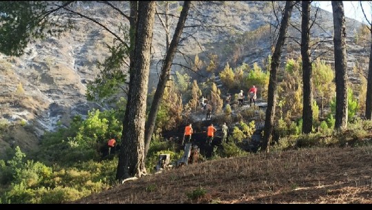 10 HEKTARË PYJE TË DJEGURA/ Shuhen përfundimisht vatrat e zjarrit në Përmet