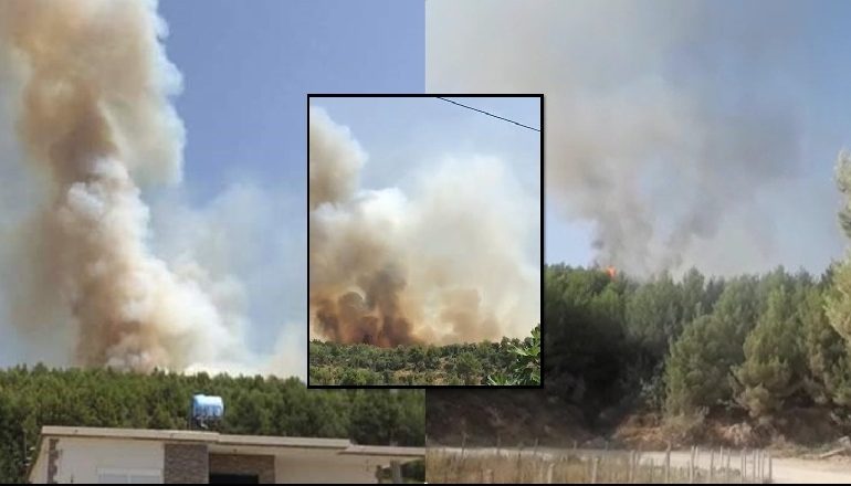 2 VATRA TË MËDHA ZJARRI NË MAMURRAS/ RREZIKOHEN 5 banesa. Era favorizon përhapjen e flakëve