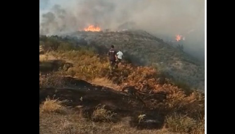 BILANC I LARTË DËMESH/ Vihen në kontroll flakët në Gjirokastër