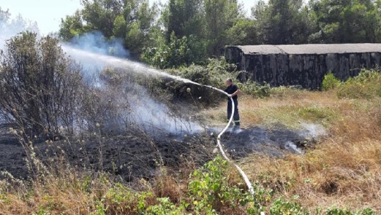 ZJARRET NË VEND/ Neutralizohen flakët në Novoselë, Peleshi: Eliminohet rreziku i banesave në Dukat
