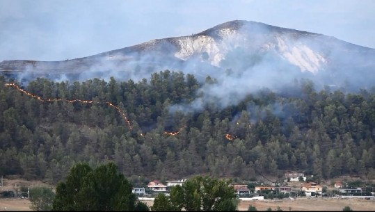 ZJARRI QË SHKAKTOI VIKTIMËN NË GJIROKASTËR/ Braçe: Ishte i qëllimshëm, kush e vuri është vrasës