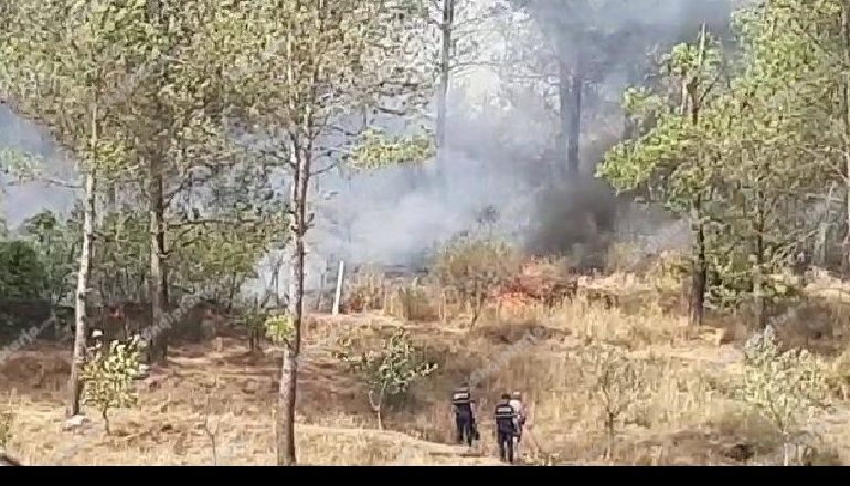 ZJARRET NË GJIROKASTËR/ Riaktivizohet një vatër në Lunxhëri, nis ndërhyrjen nga ajri helikopteri i FA. 100 ushtarë në terren