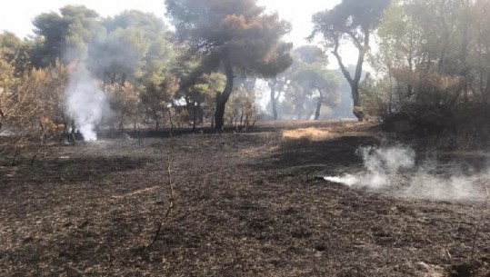 VATRAT E ZJARRIT/ NJOFTIMI: Flakët vazhdojnë të kërcënojë Parkun e Llogarasë…