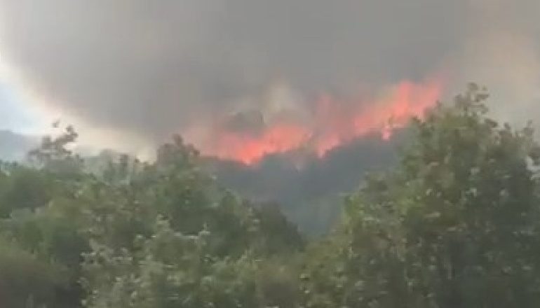 ZJARRI RREZIKOI BANESAT NË GJIROKASTËR/ Banorët: Po mos të ishte policia dhe zjarrfikësja do kishim vdekur