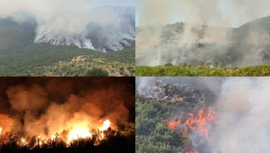 ZJARRET/ Braçe: Ato nuk ndizen vetë, vihen qëllimisht nga personat që duhen ndëshkuar si terroristë