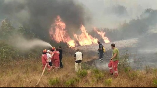 ZJARRET NË VLORË/ Neutralizohet rreziku për banesat në Gjormë dhe Gumenicë. Nis ndërhyrja me helikopter nga ajri