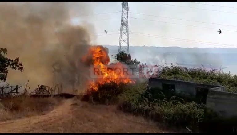 FUSHË KRUJË/ Zjarr i madh në afërsi të Borizanës. Era favorizon përhapjen e flakëve, rrezikohen 20 banesa (VIDEO)