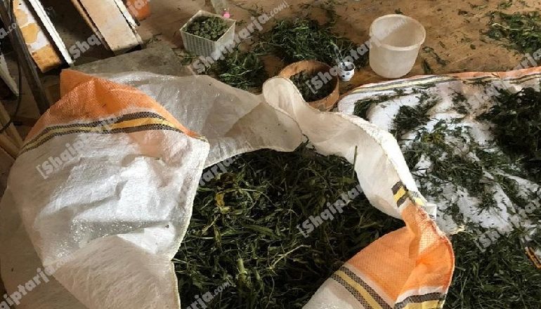 MBUSHËN SKRAPARIN ME HASHASH/ SPAK dërgon për gjykim 23 trafikantët, mes tyre edhe 4 policë