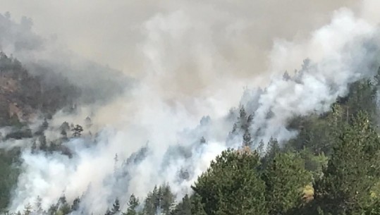 ZJARRET NË DROPULL E MEMALIAJ/ Ku pati dhe shpërthime fishekësh, nën hetim dy piromanët në Gjirokastër