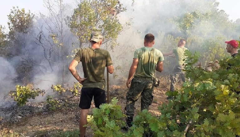 4 VATRA ZJARRI PROBLEMATIKE/ Shuhen flakët në Malin e Rrjacës në Prrenjas, mbi 300 forca në terren
