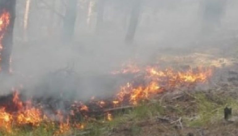 MERR ZJARR NJË GROPË PRANË NJË PUSI NAFTE/ Situata nën kontroll, drejt shuarjes flakët