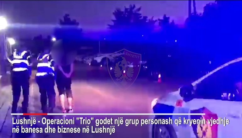 BËNIN KËRDINË ME VJEDHJET NË LUSHNJE/ Arrestohen 3 persona. Sekuestrohen para dhe sende me vlerë