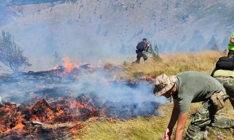 SITUATË PROBLEMATIKE NGA ZJARRET NË VERI/ Peleshi: Era ka përhapur perimetrin e flakëve në këto fshatra