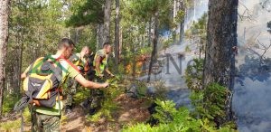 PAMJET E FUNDIT/ Përkeqësohet ZJARRI në Fushë-Arrëz, terreni i vështirë përhap flakët edhe në…