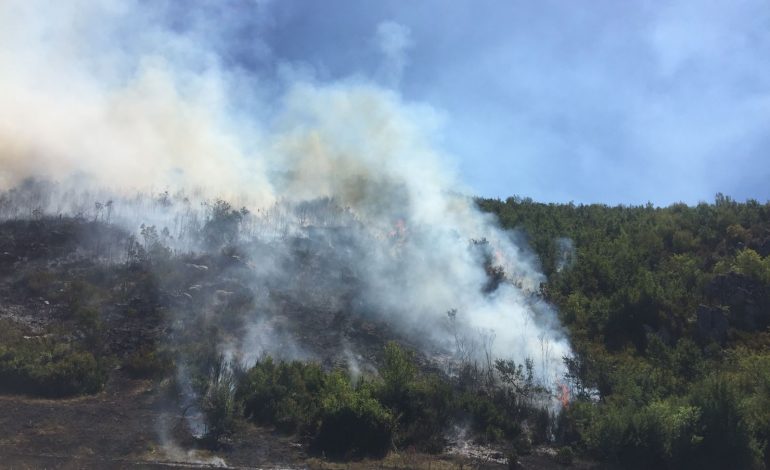 ZJARRET NË VEND/ Parku Kombëtar i Prespës nën pushtetin e flakëve, ndërhyrja e vështirë për shkak të terrenit