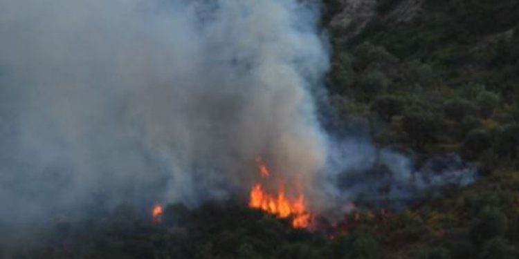 ZJARRET NË SHQIPËRI/ Aktivizohet një vatër e madhe në Mamurras, rrezikohen edhe banesa