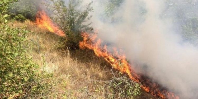 VATËR ZJARRI NË VAJKAN, FIER/ Flakët po përhapen me shpejtësi nga era, rrezikohen banesa