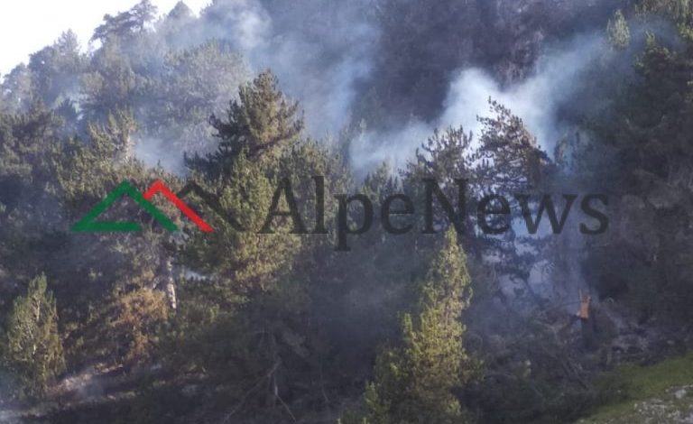 ZJARR NË PARKUN KOMBËTAR TË TOMORRIT/ Digjen sipërfaqe pyjesh. Në kërkim… (PAMJET)