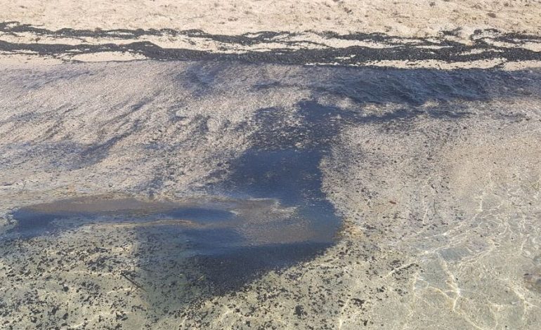 PAMJE TË RRALLA NË GREQI/ Plazhi “pushtohet” nga llumi pas zjarreve masive