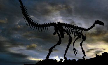 KA JETUAR 130 MILIONË VJET NË KINË/ Zbulohen fosilet e dinozaurit gjigant