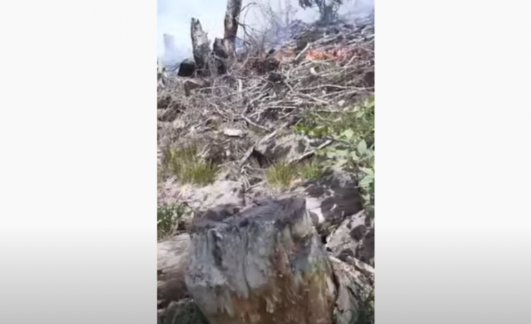 ZJARRET NË LEZHË/ Vatër e madhe flakësh në Kodër Thirre. DIGJEN… (VIDEO)