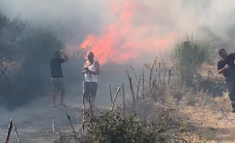 PAMJET EKSKLUZIVE/ Forcat zjarrëfikëse neutralizojnë dhe shuajnë dy vatra flakësh Shkodër, DIGJEN… (VIDEO)