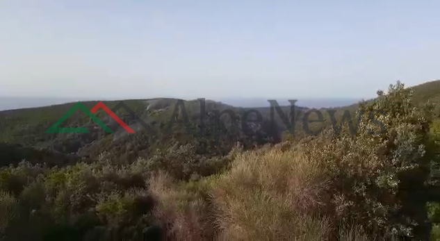 PAMJE EKSKLUZIVE/ Vatra e zjarrit në pyllin e fshatit Shetaj, nis puna për shuarjen përfundimtare (VIDEO)