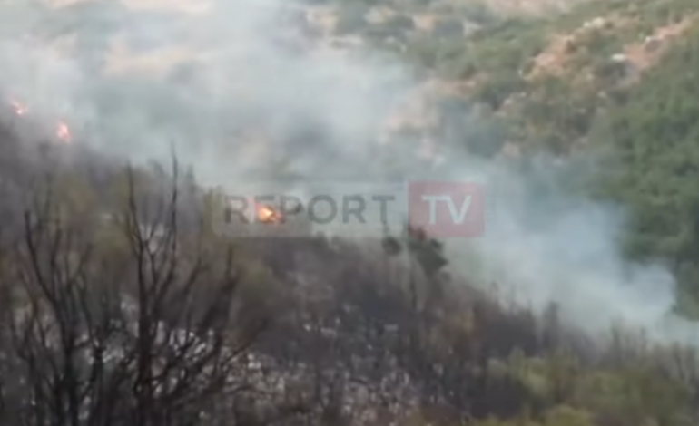 ZJARRET NË VEND/ Flakët riaktivizohen fuqishëm në Dukat, zjarrfikësit në terren (VIDEO)