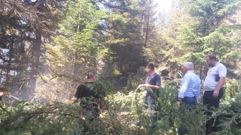 ZJARRET E KOSOVË/ Vazhdon beteja me flakët, problematike situata në Bjeshkët e Rugovës