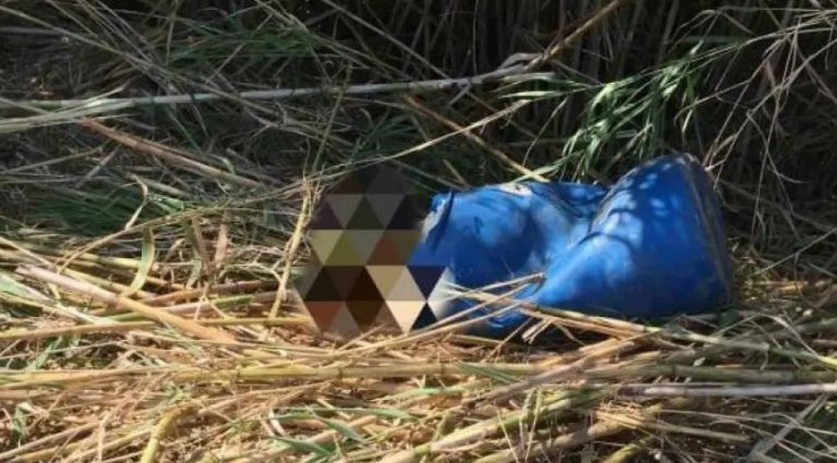 HORROR NË GREQI/ Një kufomë mashkulli gjendet në fuçi, familja e kërkonte prej 3 vitesh në Kretë