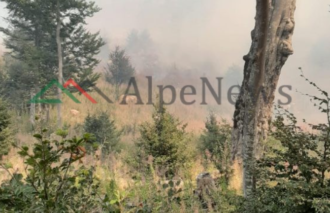PAMJET/ Pas një beteje të gjatë me flakët edhe në Budaç situata është nën kontroll